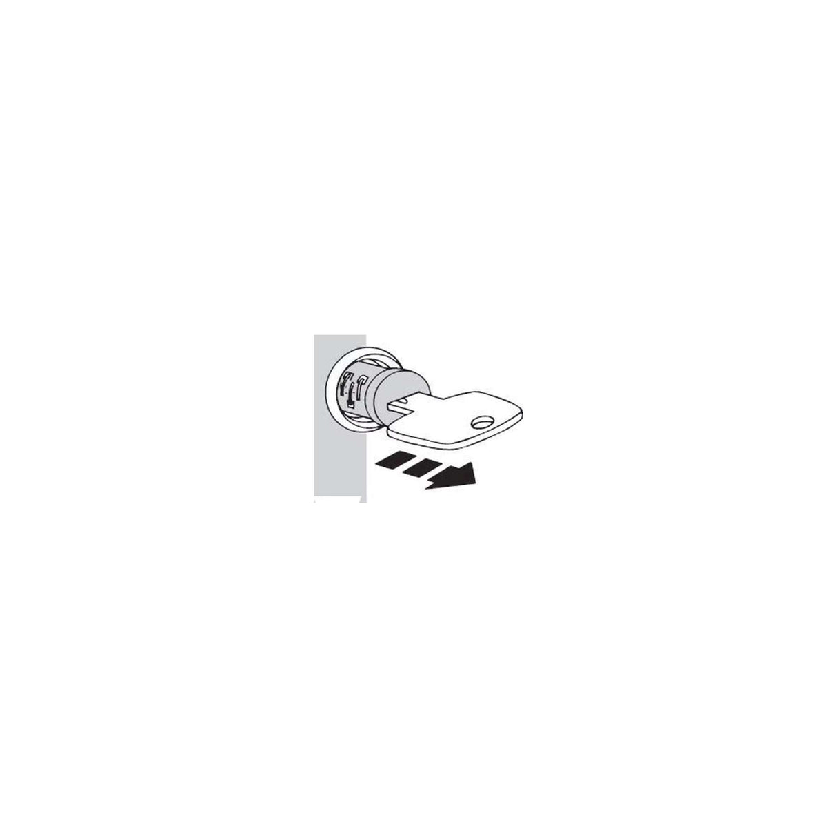 Thule Exchange Key Masterkey