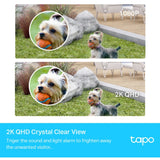 TP-LINK TP-LINK TAPO C420S2