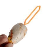 Outgoing baby dinosaur 50ml bubble bladder