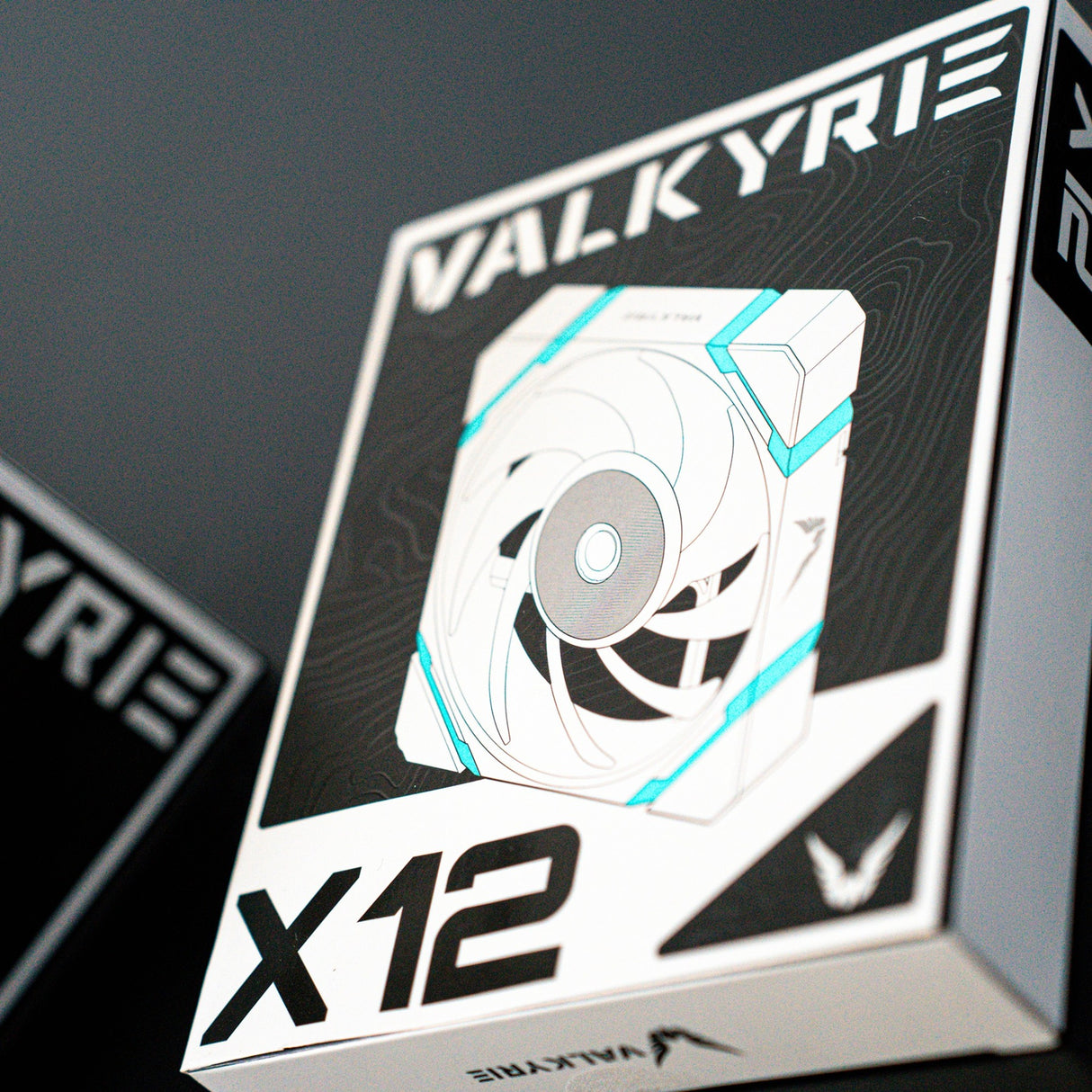 Valkyrie Valkyrie x12 argb črna