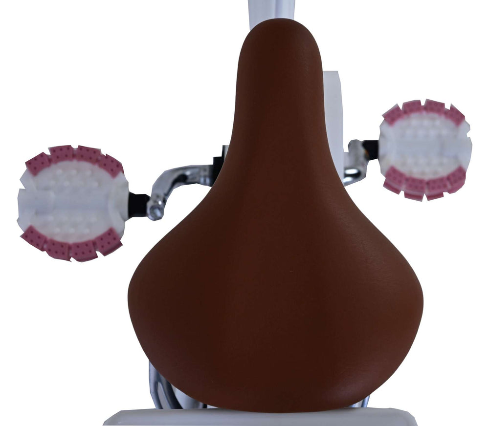 Volare Blossom children's bicycle - girls - 16 inch - white - two hand brakes