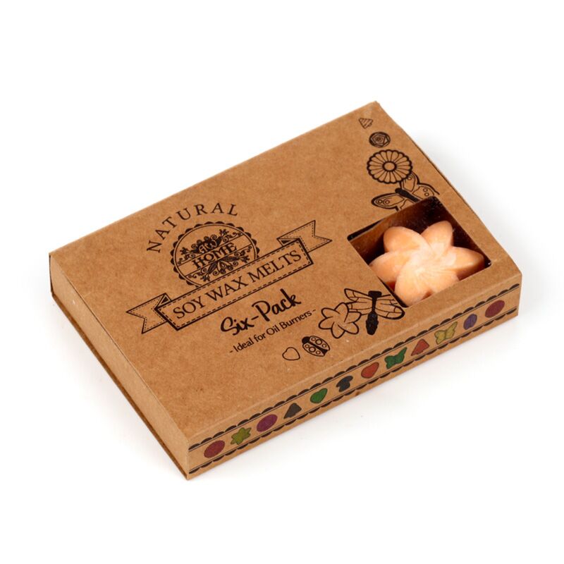 Mango fruit set of 6 waxmelts