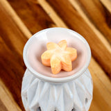 Mango fruit set of 6 waxmelts