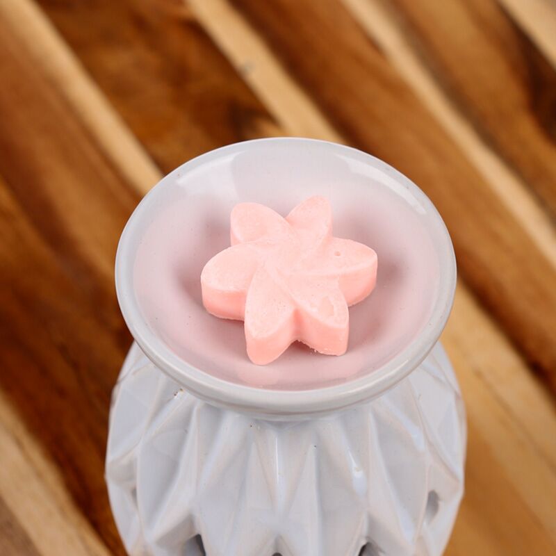 Japanese Magnolia Set of 6 Waxmelts