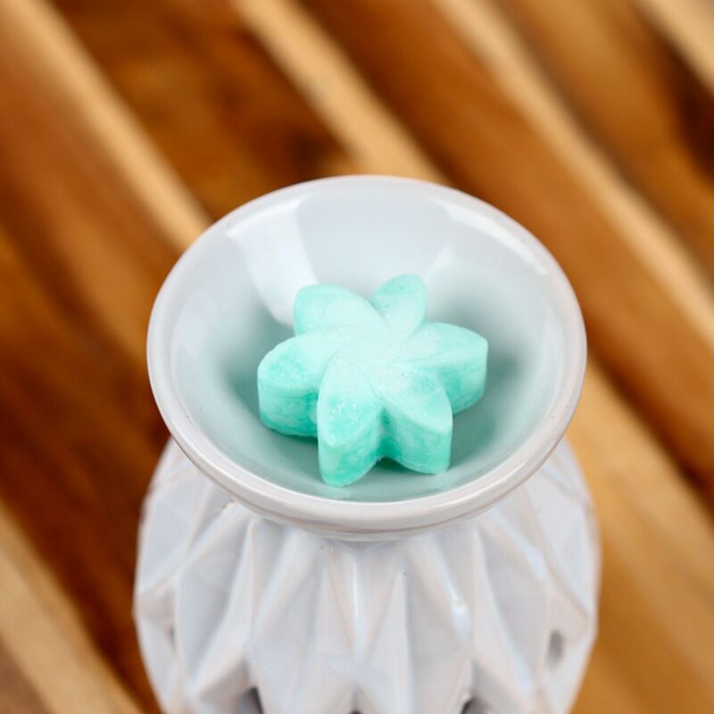 Secret garden set of 6 waxmelts