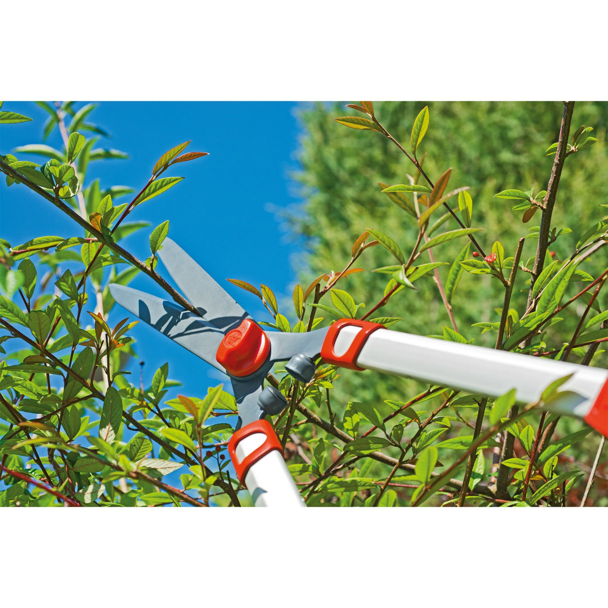 Wolf-Garten Hedge scissors Telescope HS 1000 T