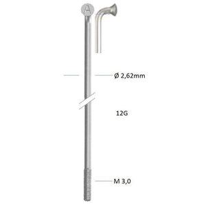 Descriptive image text