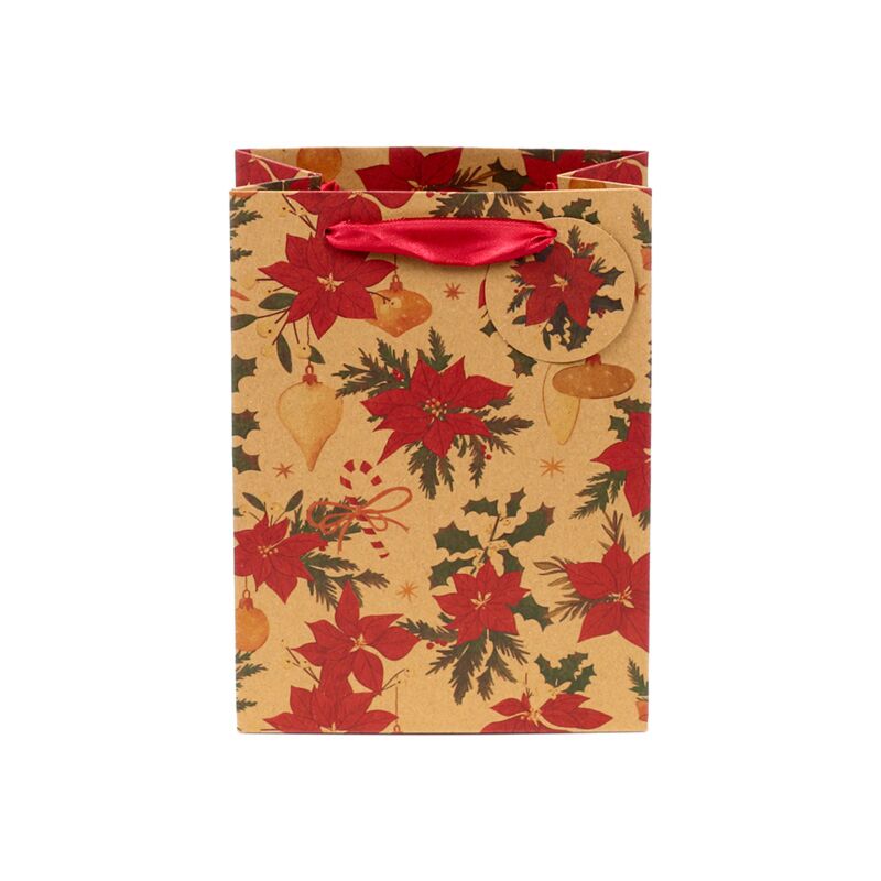 Prodotti botanici natalizi - sacchetto regalo medio