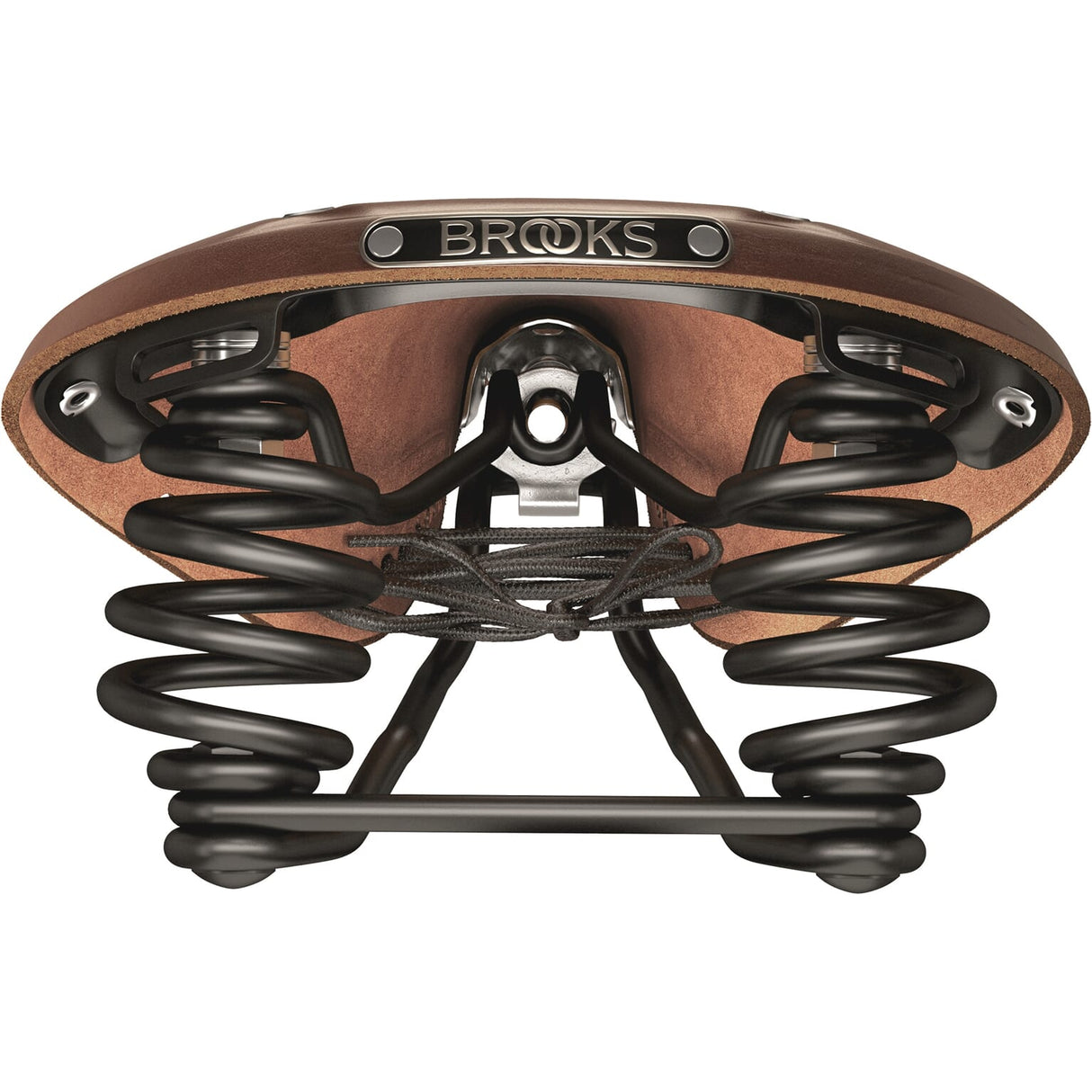 Brooks Saddle Flyer izklesal A. Bruin