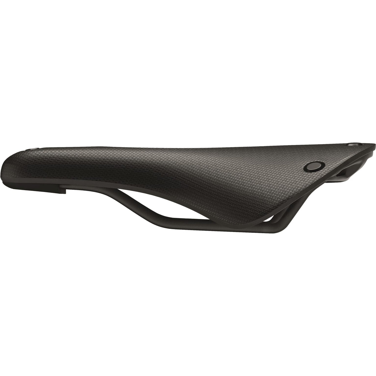 Brooks Saddle C19 izrezljani kambij vse vreme črno
