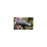 Selleroyal sadel selle royal explora jr a056jr