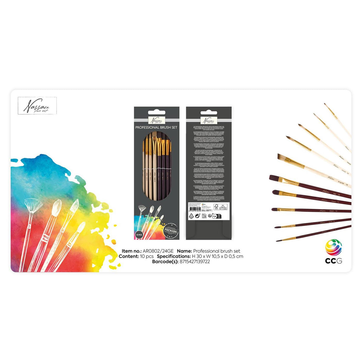 Nassau fine art nassau professional brush set, 10 pcs.
