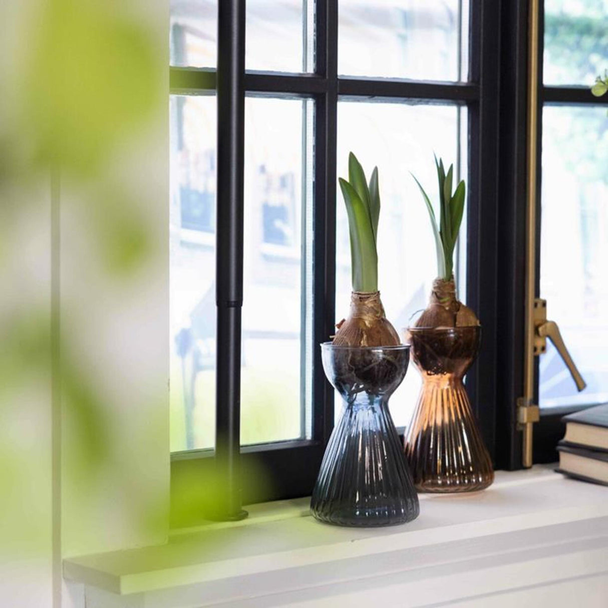 Esschert design esschert bollenvaas geribbeld amaryllis