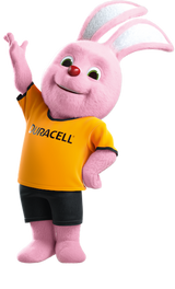 CR2450 Duracell Coin Cell Battery