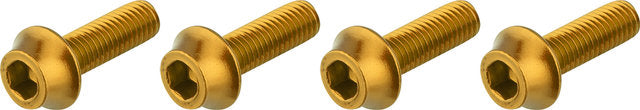 Wolf Tooth Components bottle cage screws