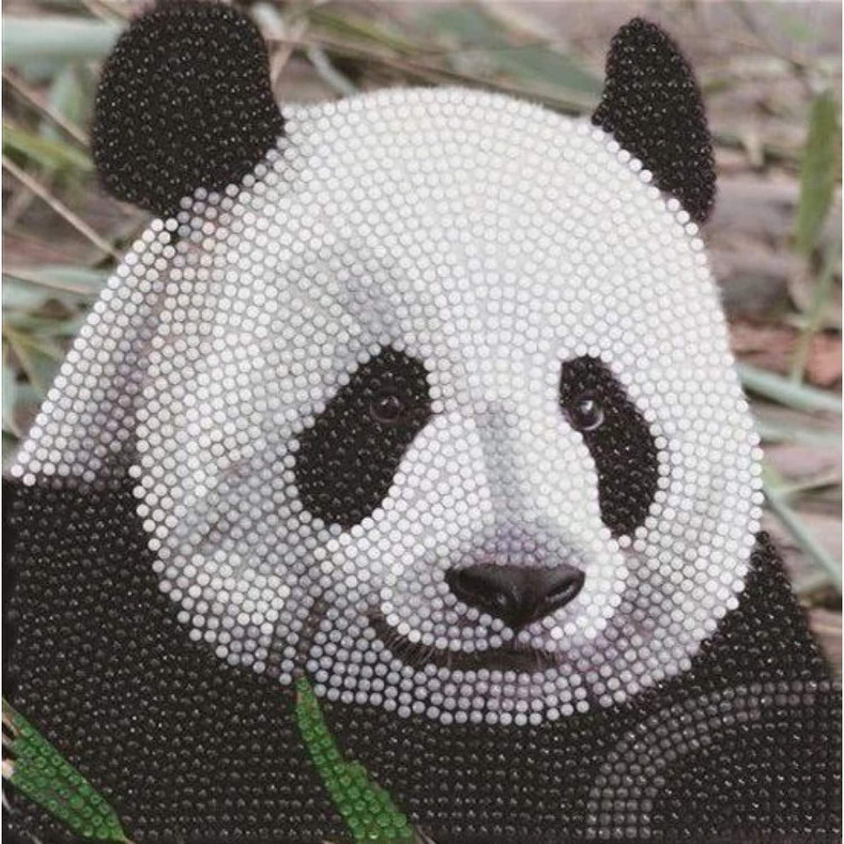 Brandunit Diamond Painting - Carte de panda géant