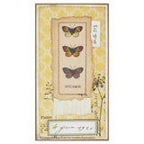 Creative expressions • clear stamp set dateert uit het verleden