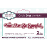 Creative expressions • mini shadowed craft die sentiments you are so special