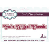 Creative expressions • mini shadowed sentiments craft die you're a real classic
