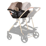 Chipolino Duo Autositz 40-87 cm Grupp 0+ Golden Black Bige