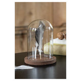 Clayre EEF 6gl1944 Stolp transparent 12x16 cm