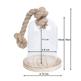 Clayre Eef 6GL2220 Stolp Transparent 12x19 cm
