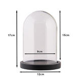 Clayre EEF Stolp 6Gl2168Z transparent transparent 12x17 cm