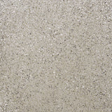 Cosmic shimmer • mineral mica bianco silver 50ml
