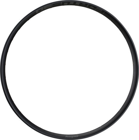 Hope fortus 30 disc 29 rim