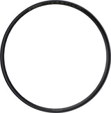 Hope fortus 30 disc 29 rim