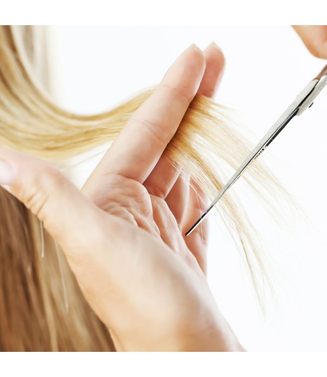 Erbe Solingen Hairdresser's Tijeras 11.5 cm (erbe924803)