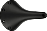 Brooks Cambium C19 - Black