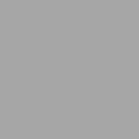 Falcon Eyes Hintergrund Handtuch BCP-03 2,9 x 5 m graue Waschanlage
