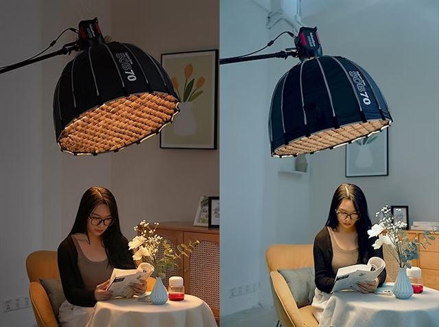 Falcon eyes bi-color led lamp s200bi