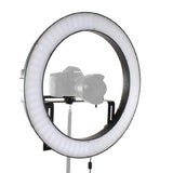 Falcon Aen bi-Faarf LED Ring Lampe dimmable DVR-512DVC op 23.0v