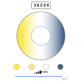 Falcon Eyes Bi-Color Led Spot Lamp Dimmable DLL-3000TW on 230V