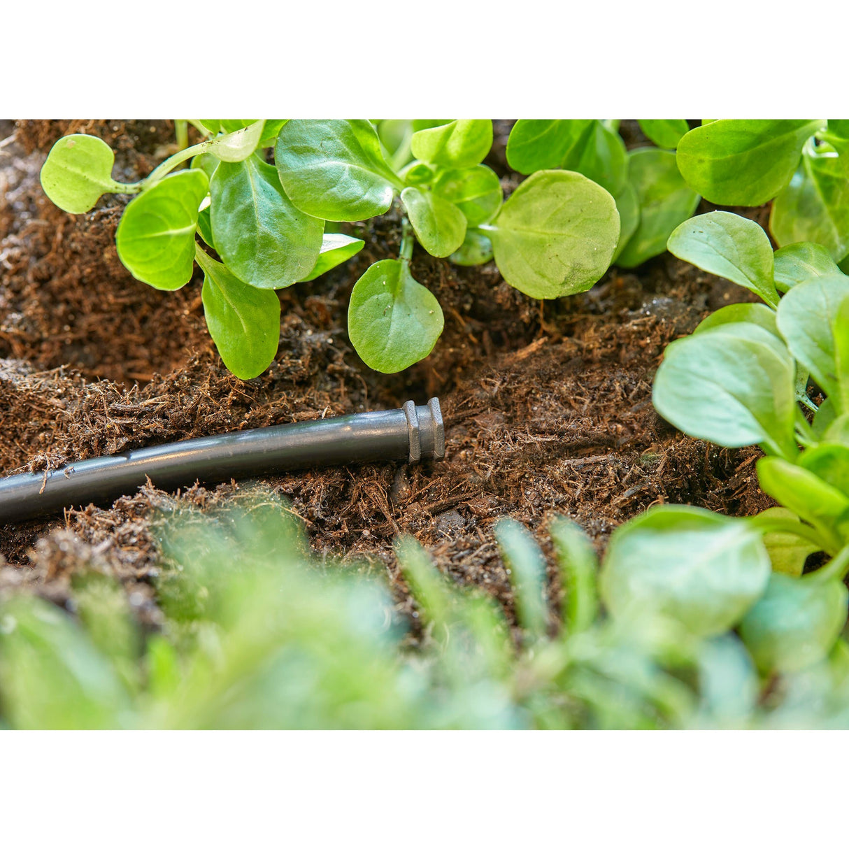 Gardena Plug 4,6 mm (3 16)