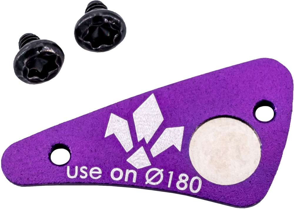 Formula e-bike magnet