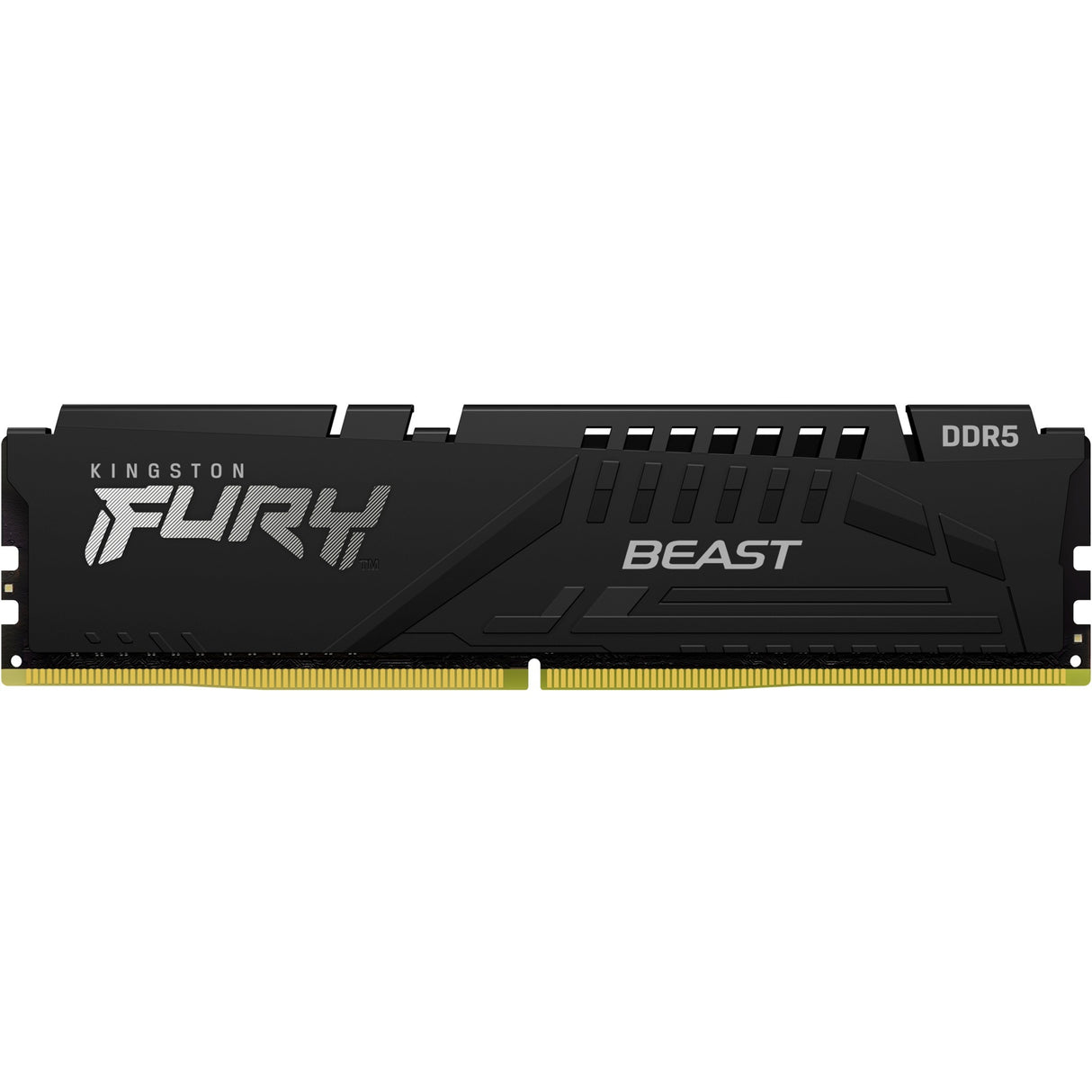 Kingston Fury 16 GB DDR5-5200 (1x 16 GB) RAM (black, KF552C40BB-16, Beast)