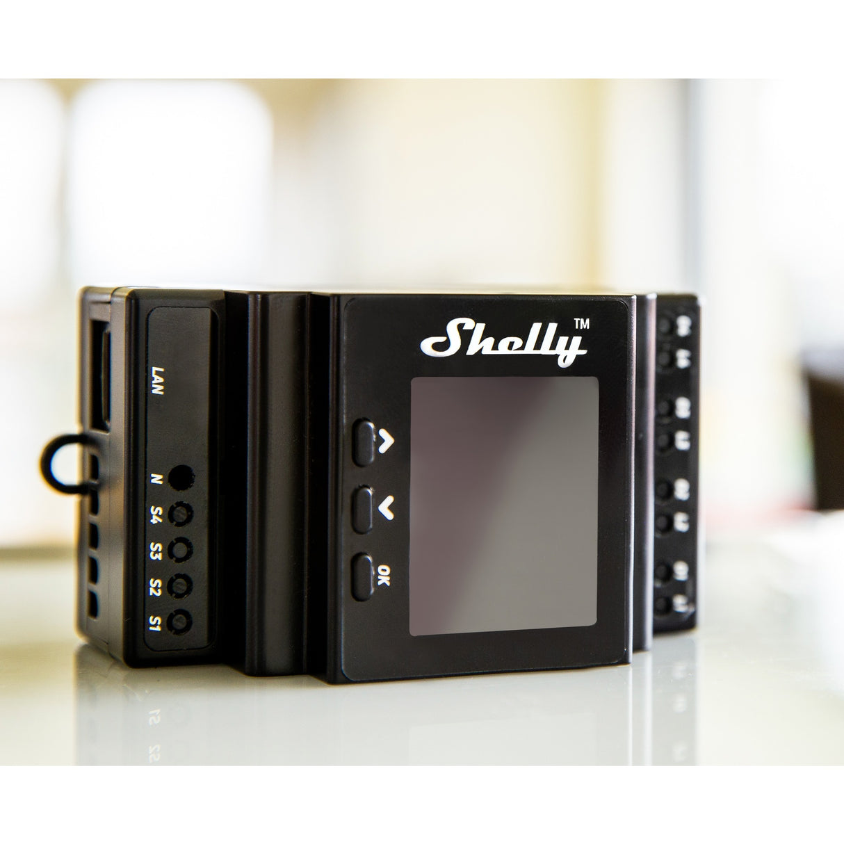 Shelly 16:00