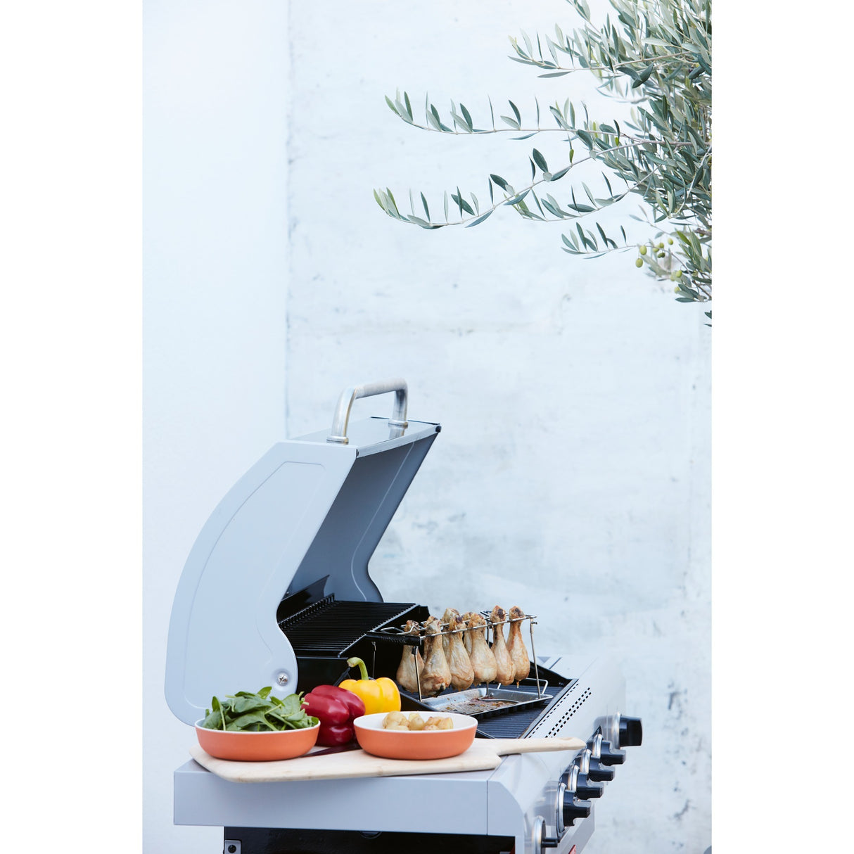 Support Barbecook pour 12 pilons