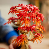 Lego botanicals 10348 Bonsaï érable japonais