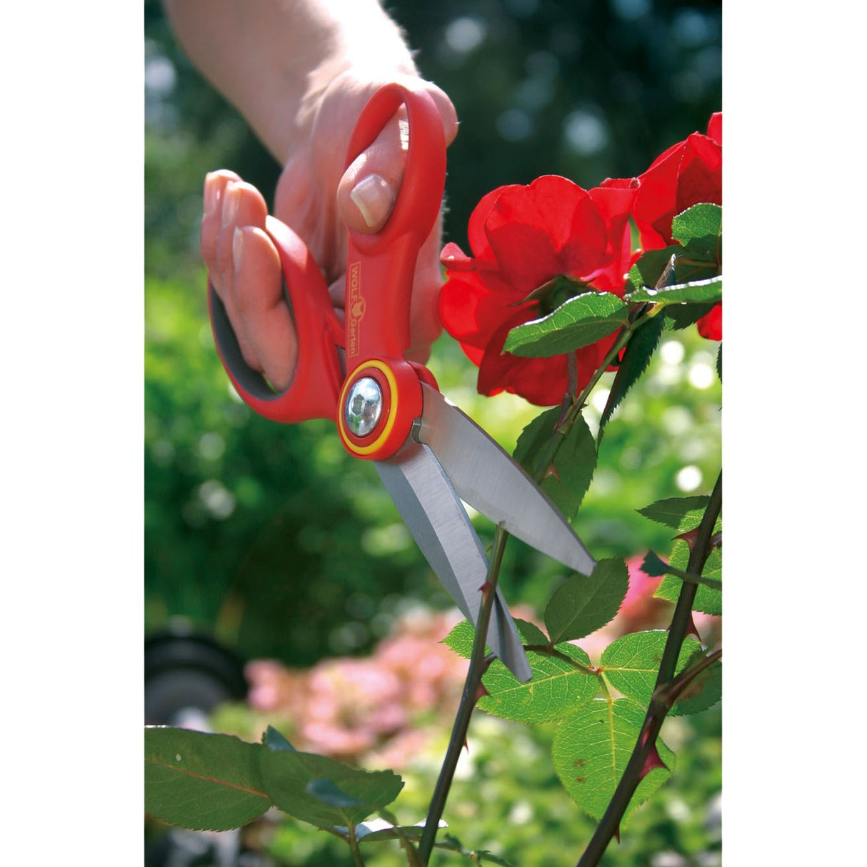 Wolf Garten RA-X Garden Shears - 73afa010650