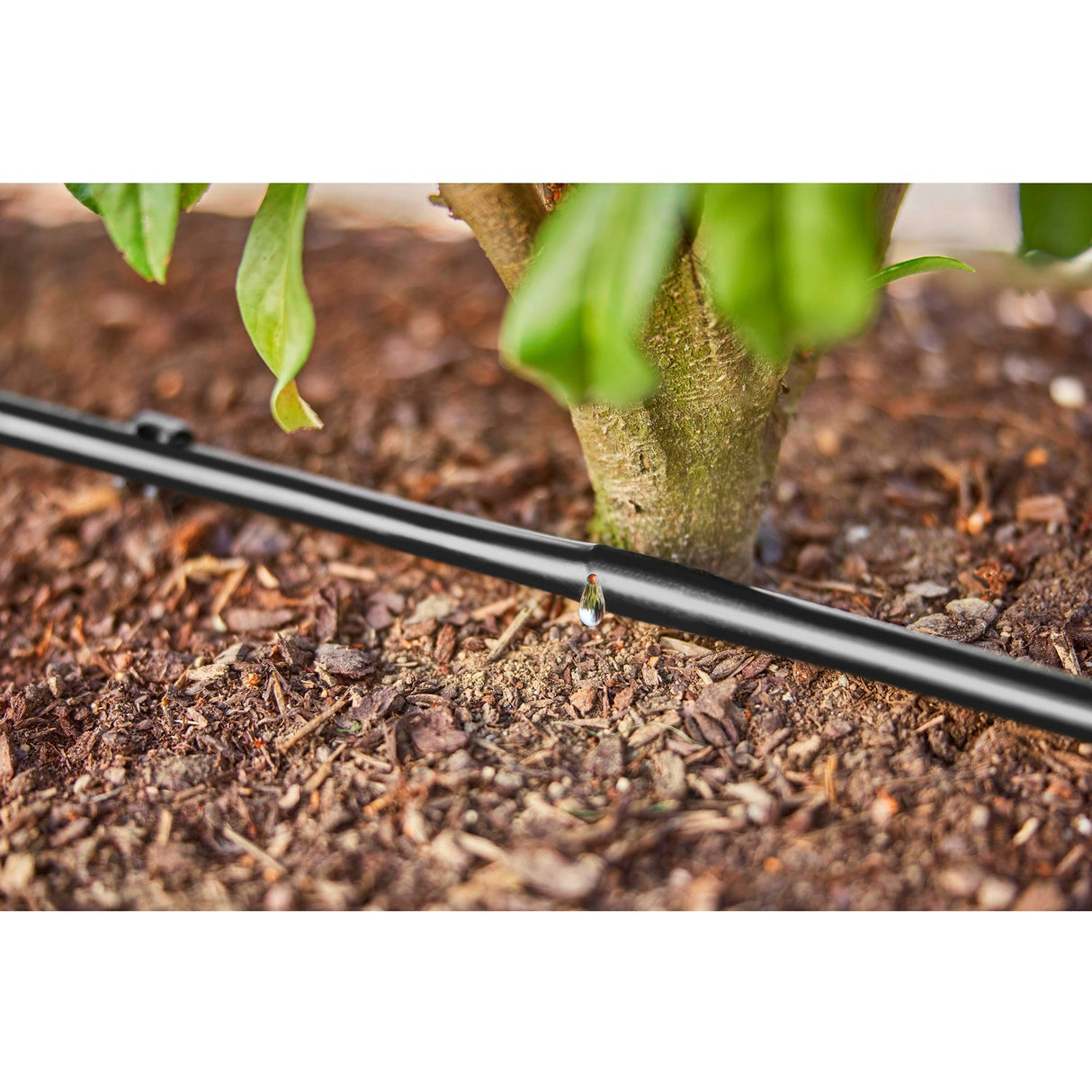 Gardena Drop Tube til buskehække (50 m)