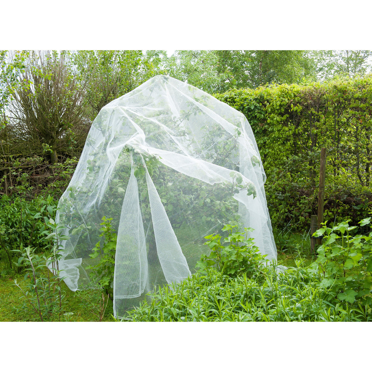 Nature Anti-insect Mesh Insect Screen (White Transparent, 5.2 x 5 m)