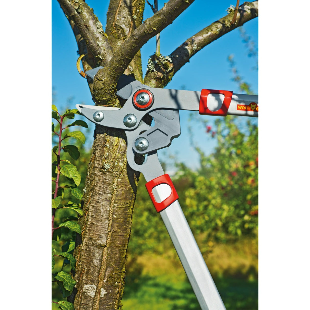 Wolf Garten RS650 Pruning Shears | Anvil | Power Cut* | 650 mm - 73BGA005650