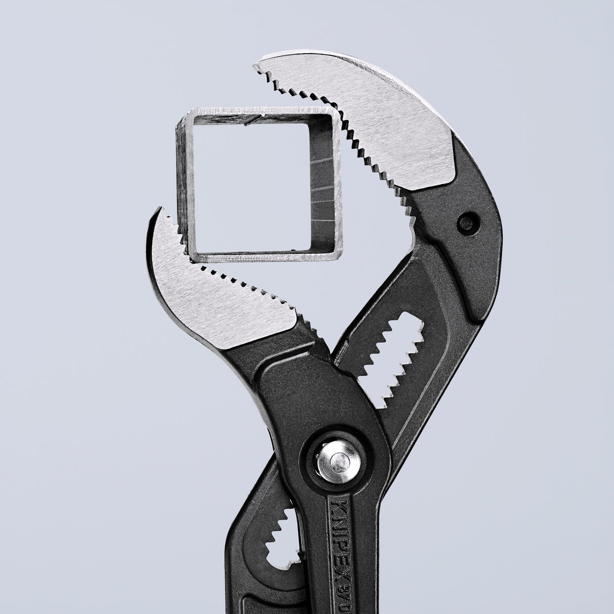 Knipex Cobra XXL Water Purtang 8701560