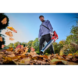 Einhell GE-LB 36 210 Li E-Aonair