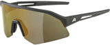 Alpina sonic hr q - sports glasses
