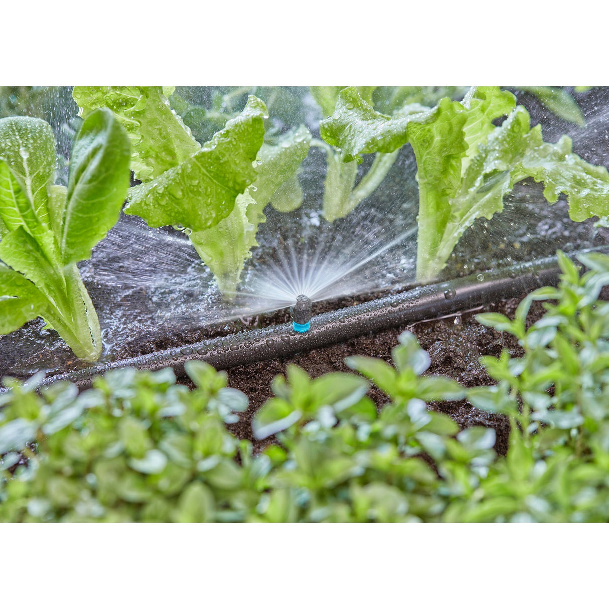 Gardena Micro Sprinkler 180° - 13321-20 13321-20